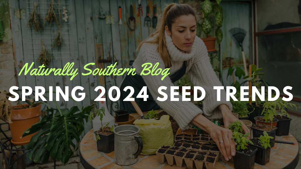 Top 10 Most Popular Seeds for Spring 2024: Gardeners' Favorites Revealed
