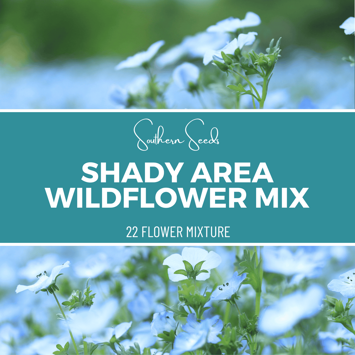 Shady Area Wildflower Seed Mix 22 Variety Mix 1,000 Seeds