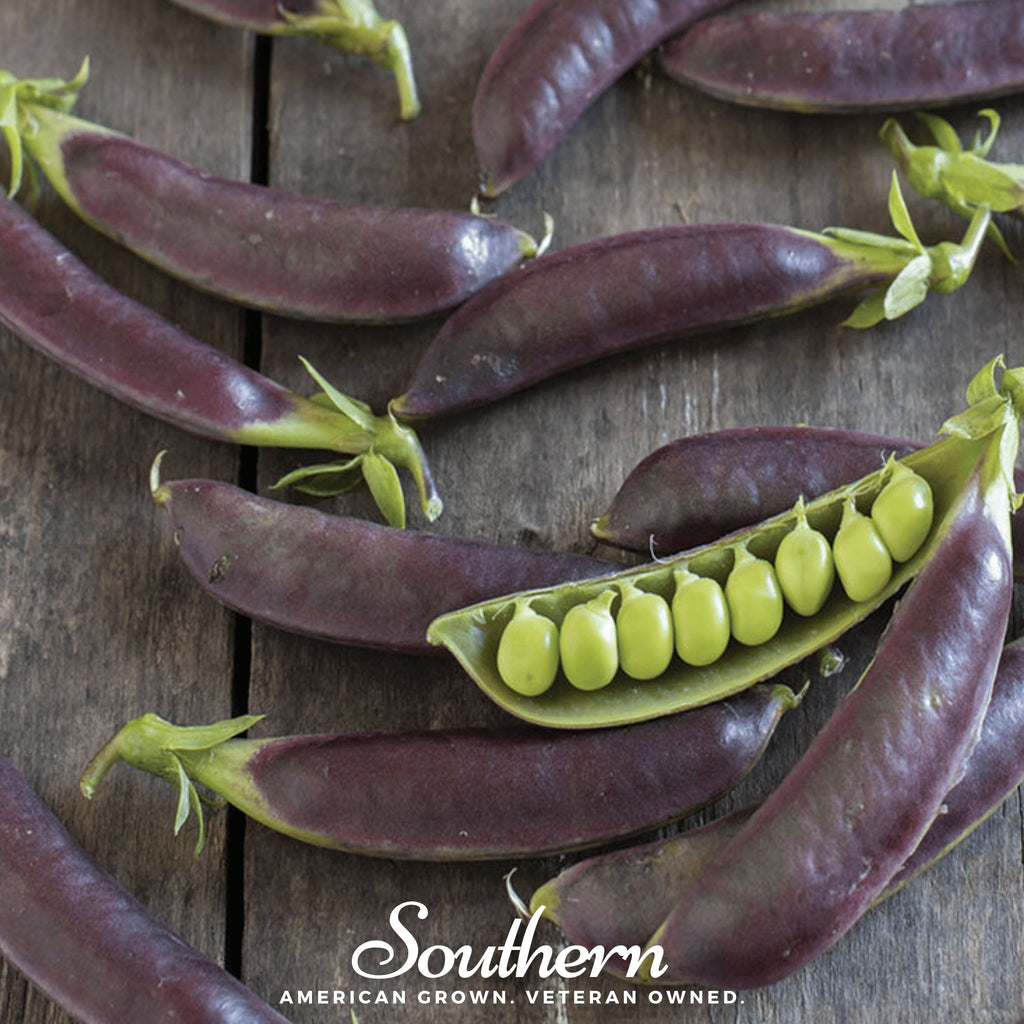 Peas, Royal Snap II (Pisum sativum) - 20 Seeds - Southern Seed Exchange