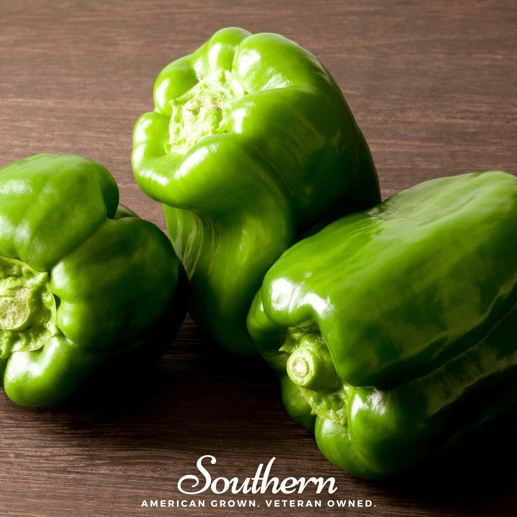 Pepper, Emerald Giant Sweet (Capsicum annuum) - 30 Seeds - Southern Seed Exchange