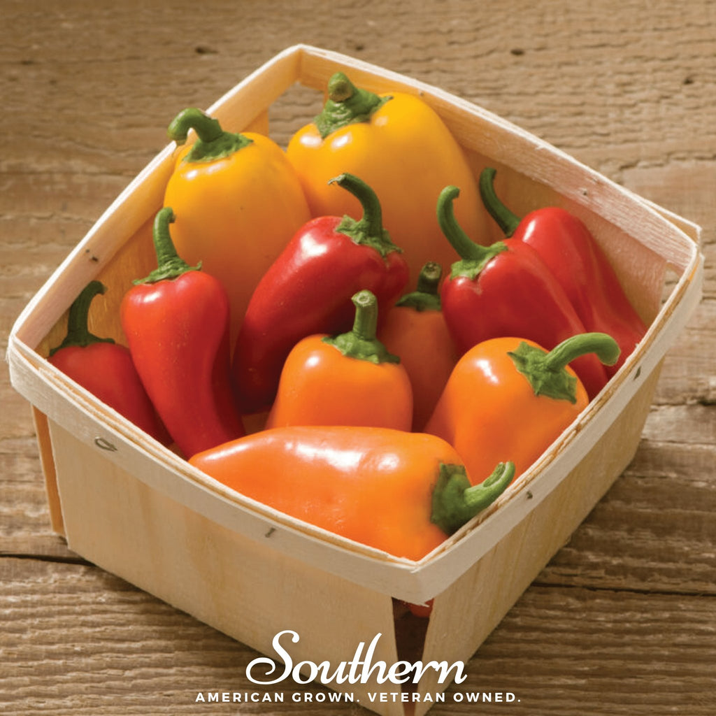 Pepper, Lunchbox Sweet Pepper - 25 Seeds - Southern Seed Exchange