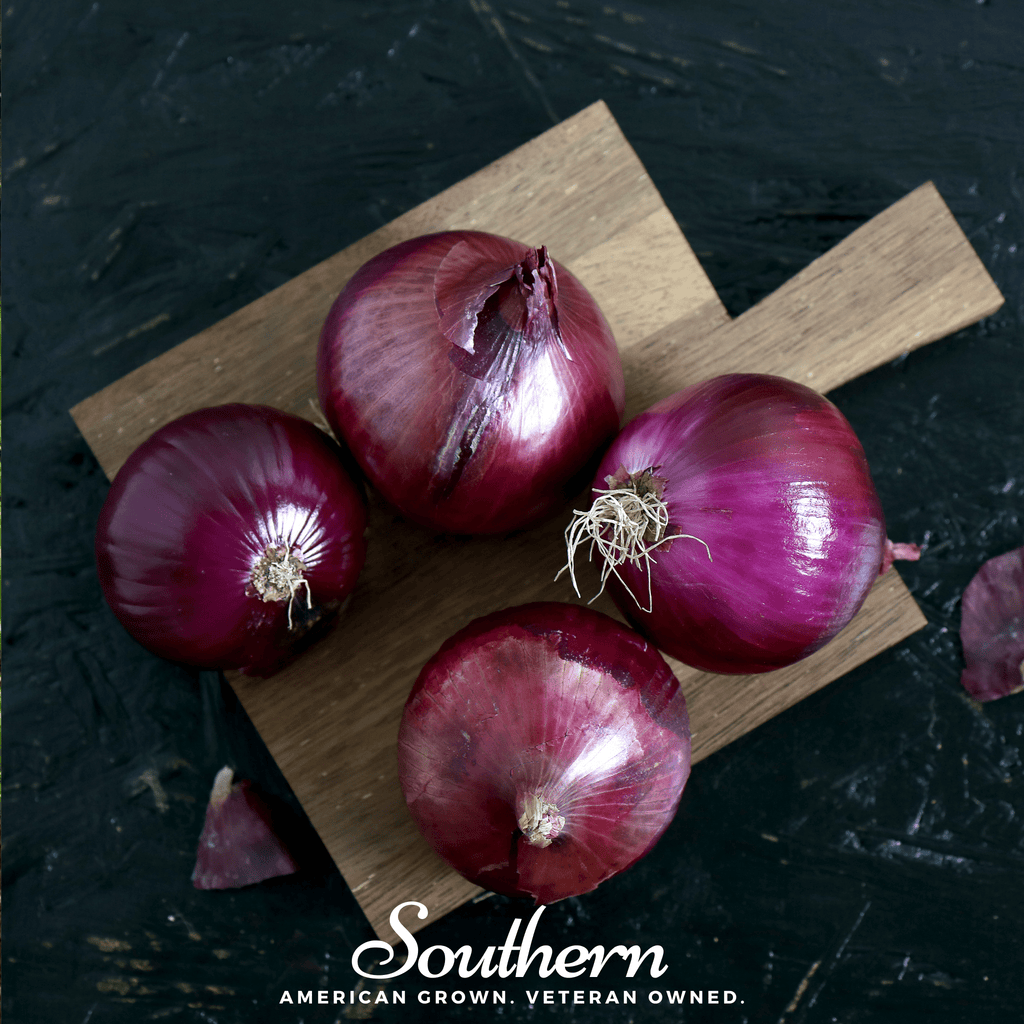 Southern Seed Exchange Onion, Red Burgundy (Allium cepa) - 100 Seeds