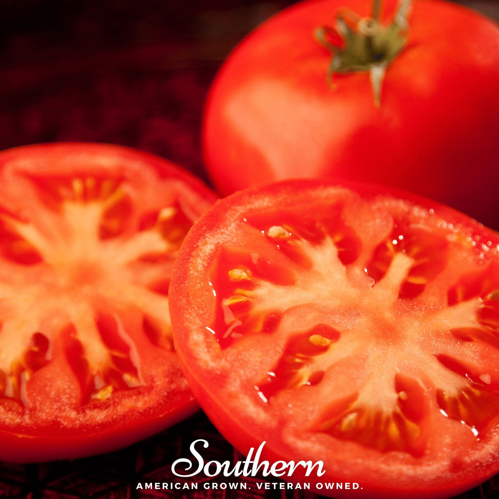 Tomato, Beefsteak (Lycopersicon esculentum) - 30 Seeds - Southern Seed Exchange