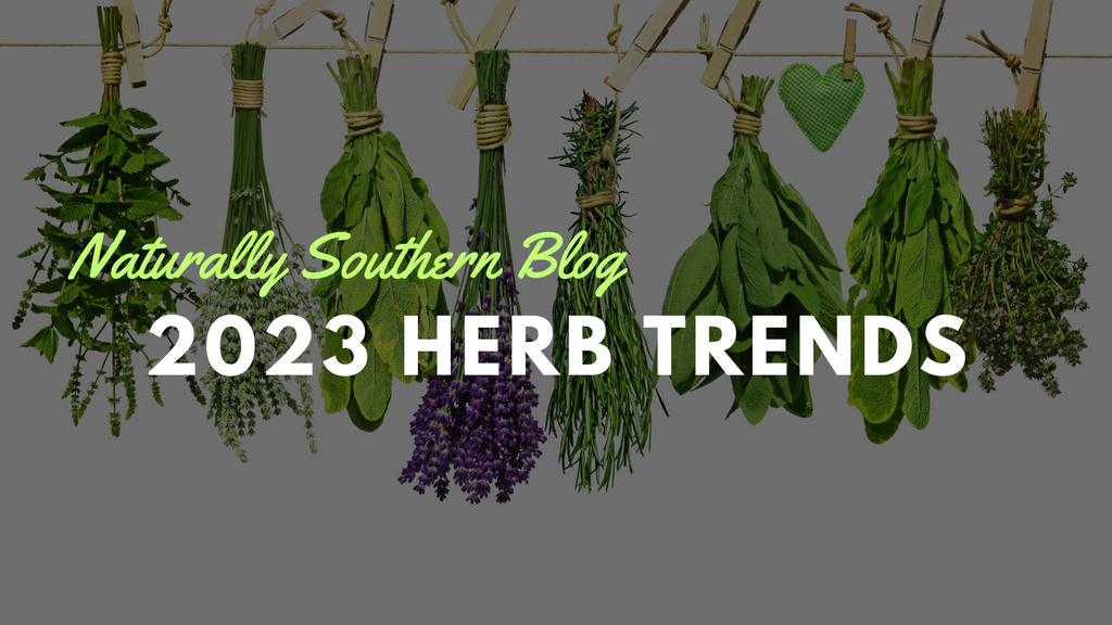 Spice Up Your Garden: Culinary Herbs Trends for 2023 - Southern Seed Exchange