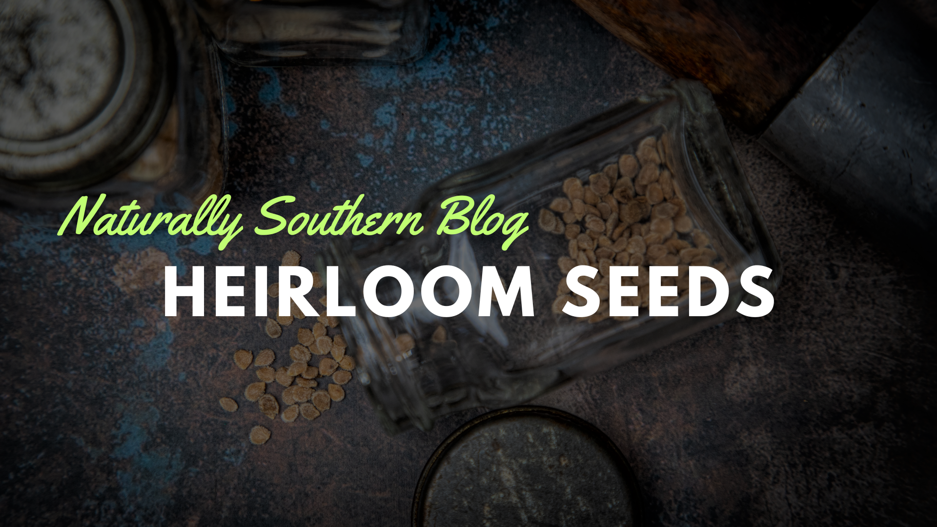 The Unmatched Value of Heirloom Seeds: A Journey Back in Time - Southern Seed Exchange