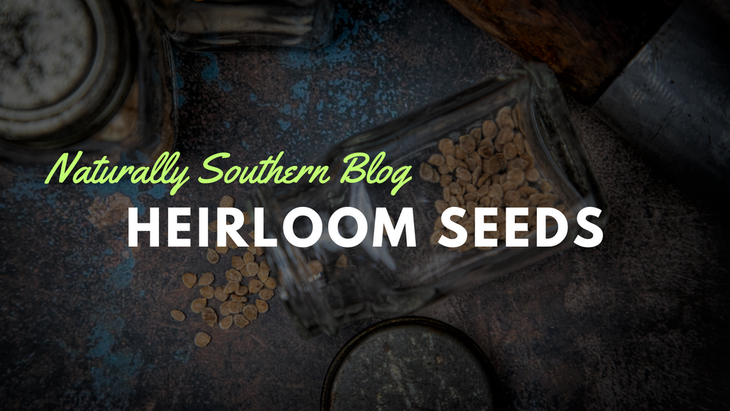 The Unmatched Value of Heirloom Seeds: A Journey Back in Time - Southern Seed Exchange