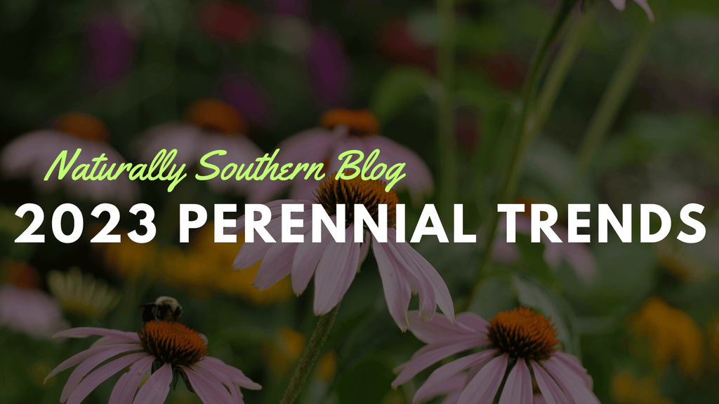 2023's Perennial Plant Trends: Spotlight on the Top 30
