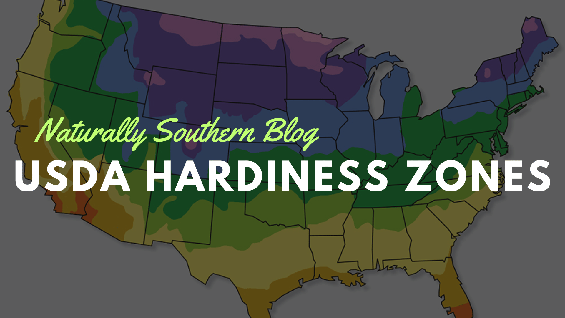 Navigating the Gardening World Through USDA Hardiness Zones