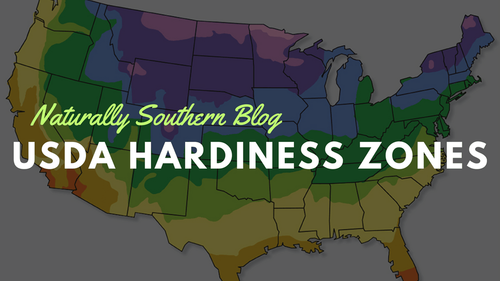 Navigating the Gardening World Through USDA Hardiness Zones
