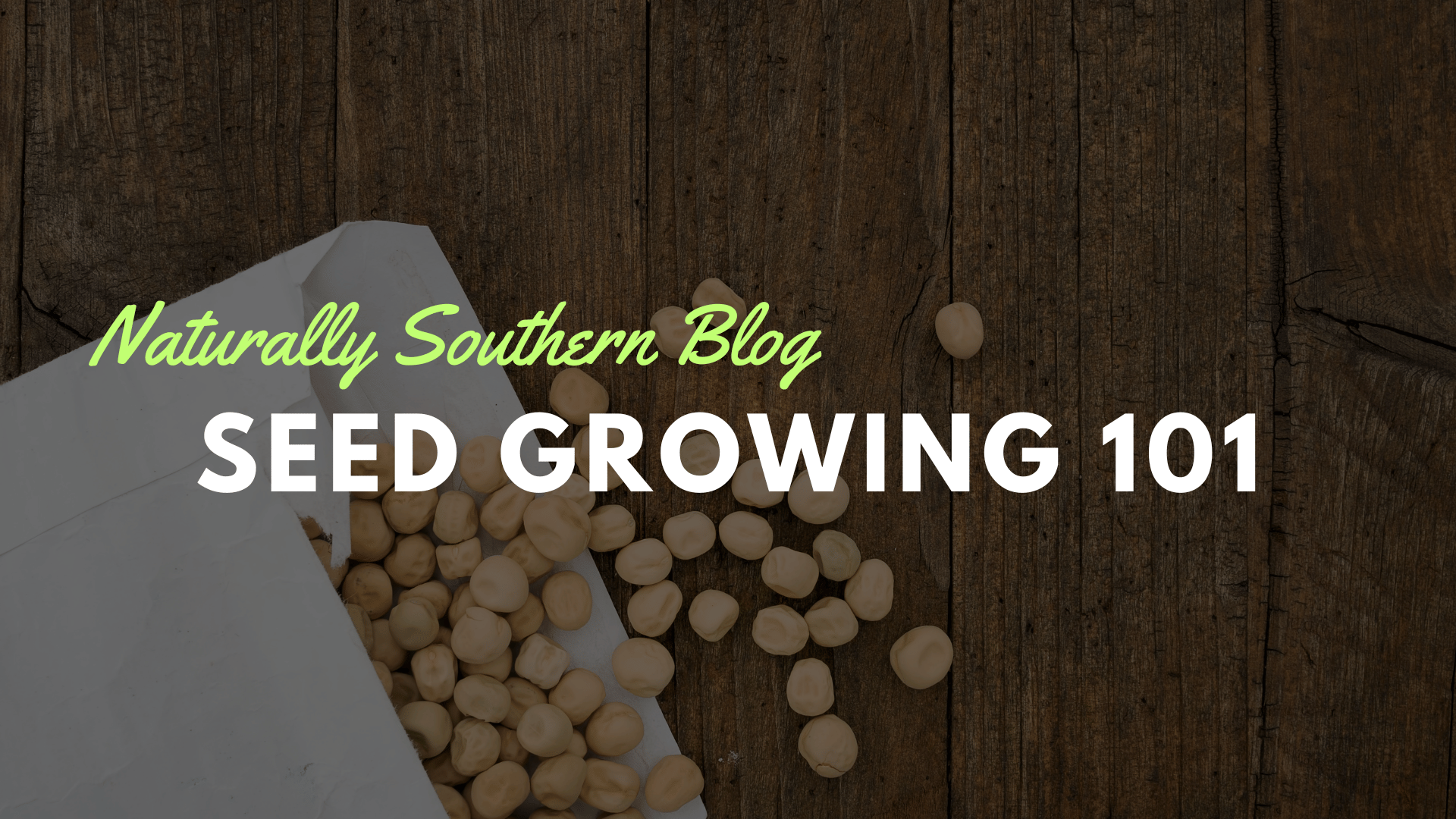 The Foolproof Guide to Seed Starting