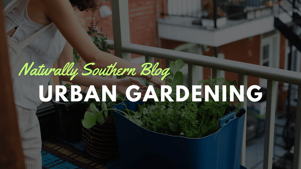 Urban Gardening: Maximizing Growth in Minimal Spaces