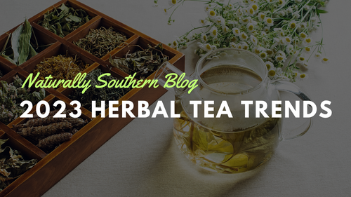 2023's Herbal Tea Plant Trends: Spotlight on the Top 20