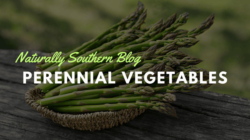 Cultivating Sustainability: Top Perennial Vegetables for Your Garden