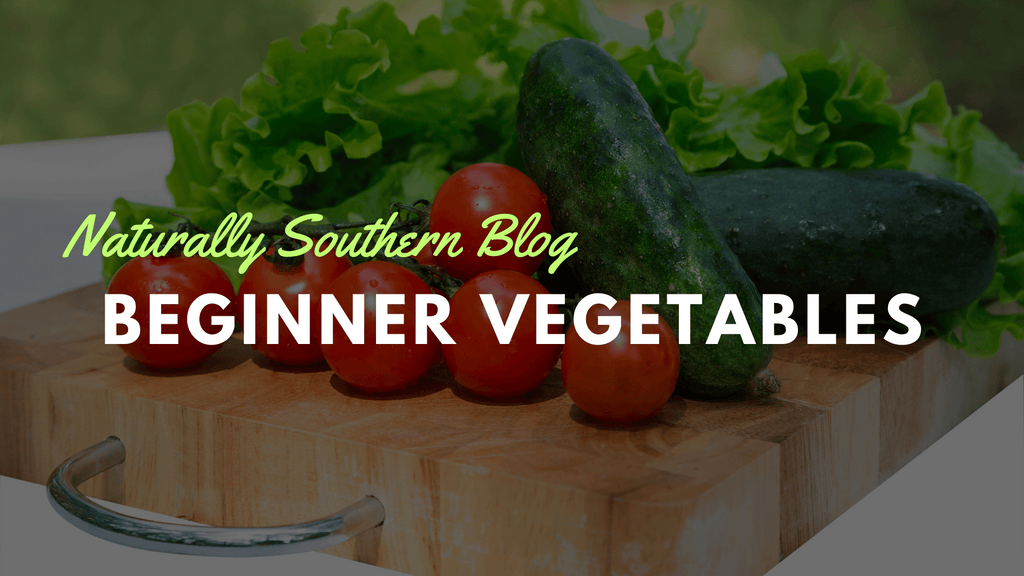 Green Thumb Beginnings: Top 10 Vegetables for First-Time Gardeners