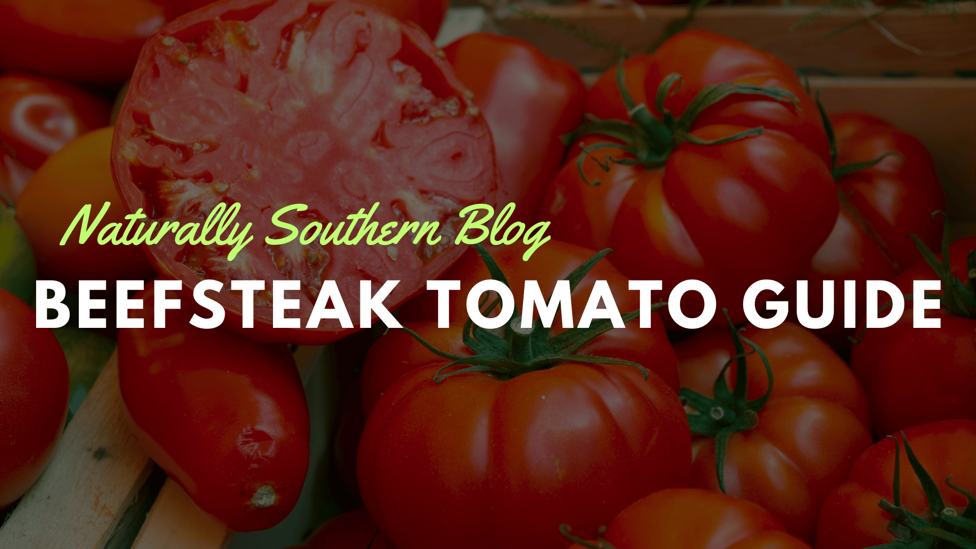 Beefsteak Tomato Guide: From Seed to Harvest