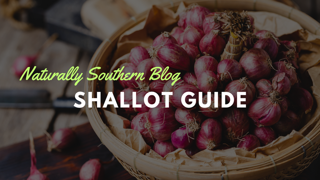 Understanding Shallots: From Seed to Kitchen
