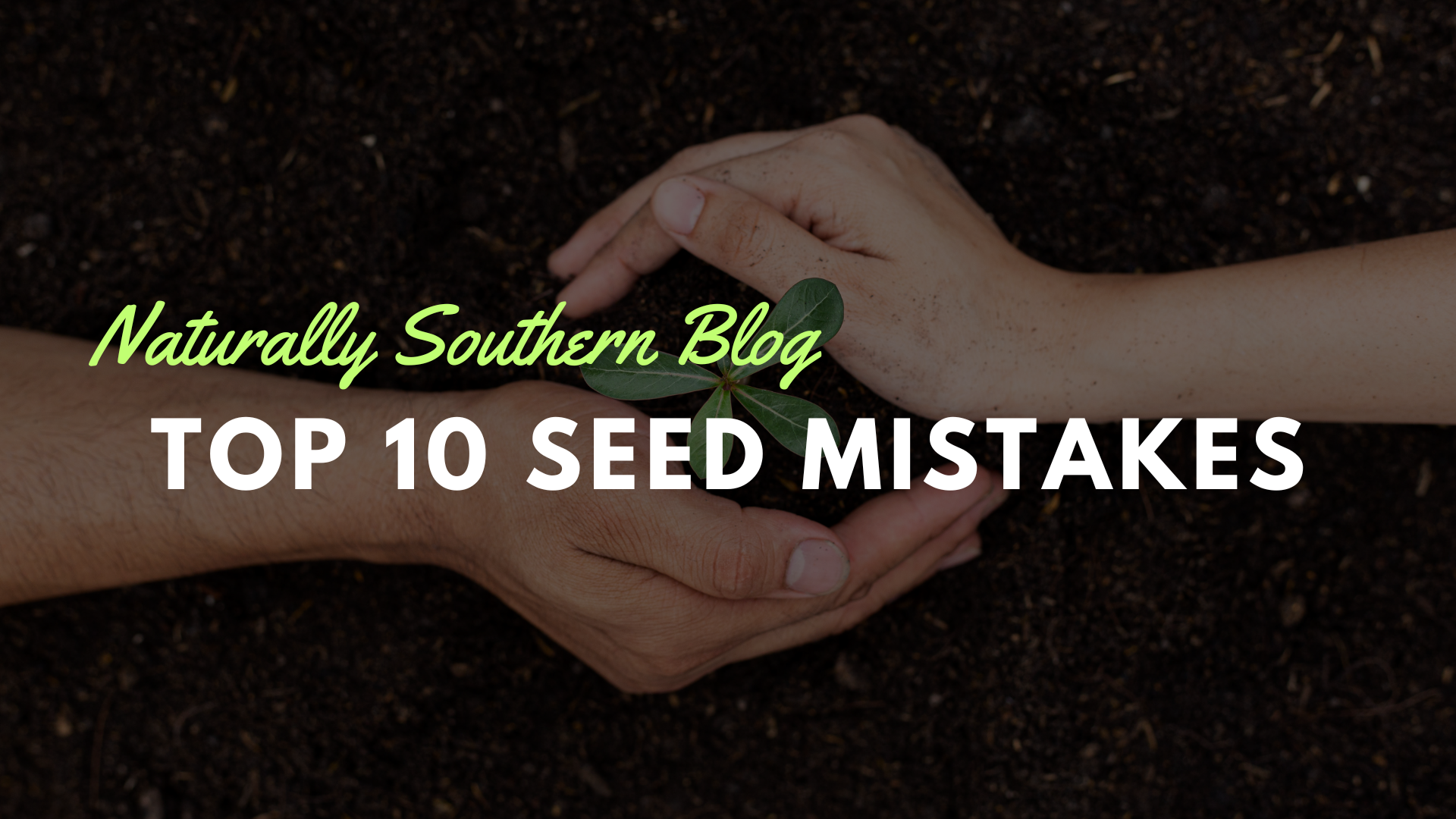 Seed Starting Fails: The Top 10 Mistakes