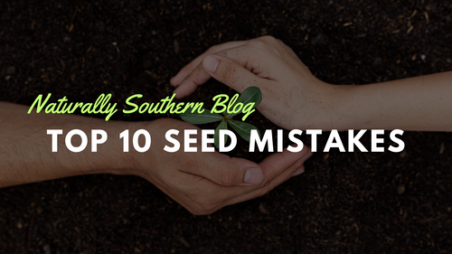 Seed Starting Fails: The Top 10 Mistakes