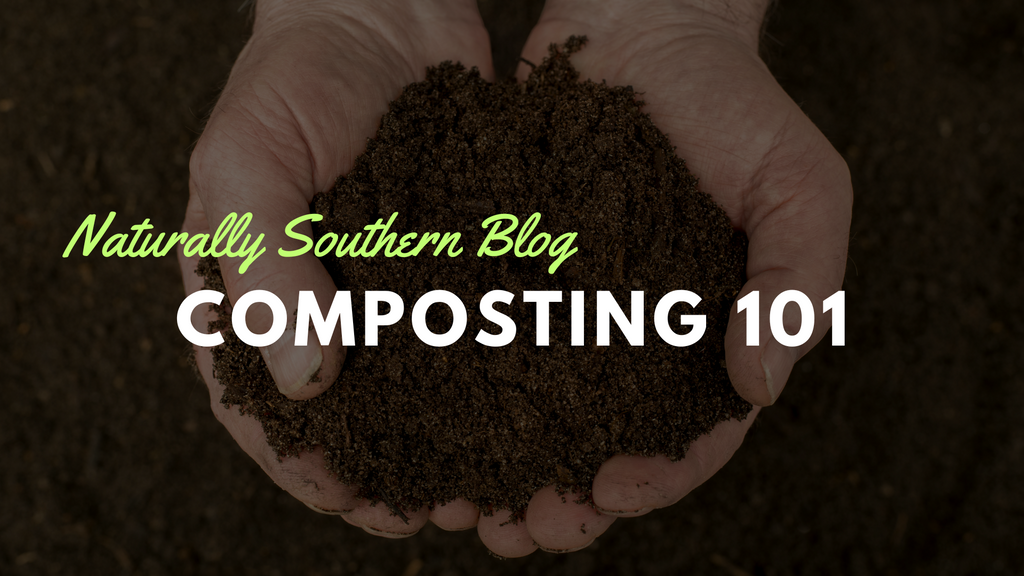 Composting 101: Turning Waste into Garden Gold