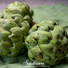 Southern Seed Exchange Artichoke, Green Globe (Cynara cardunculus var. scolymus) - 25 Seeds