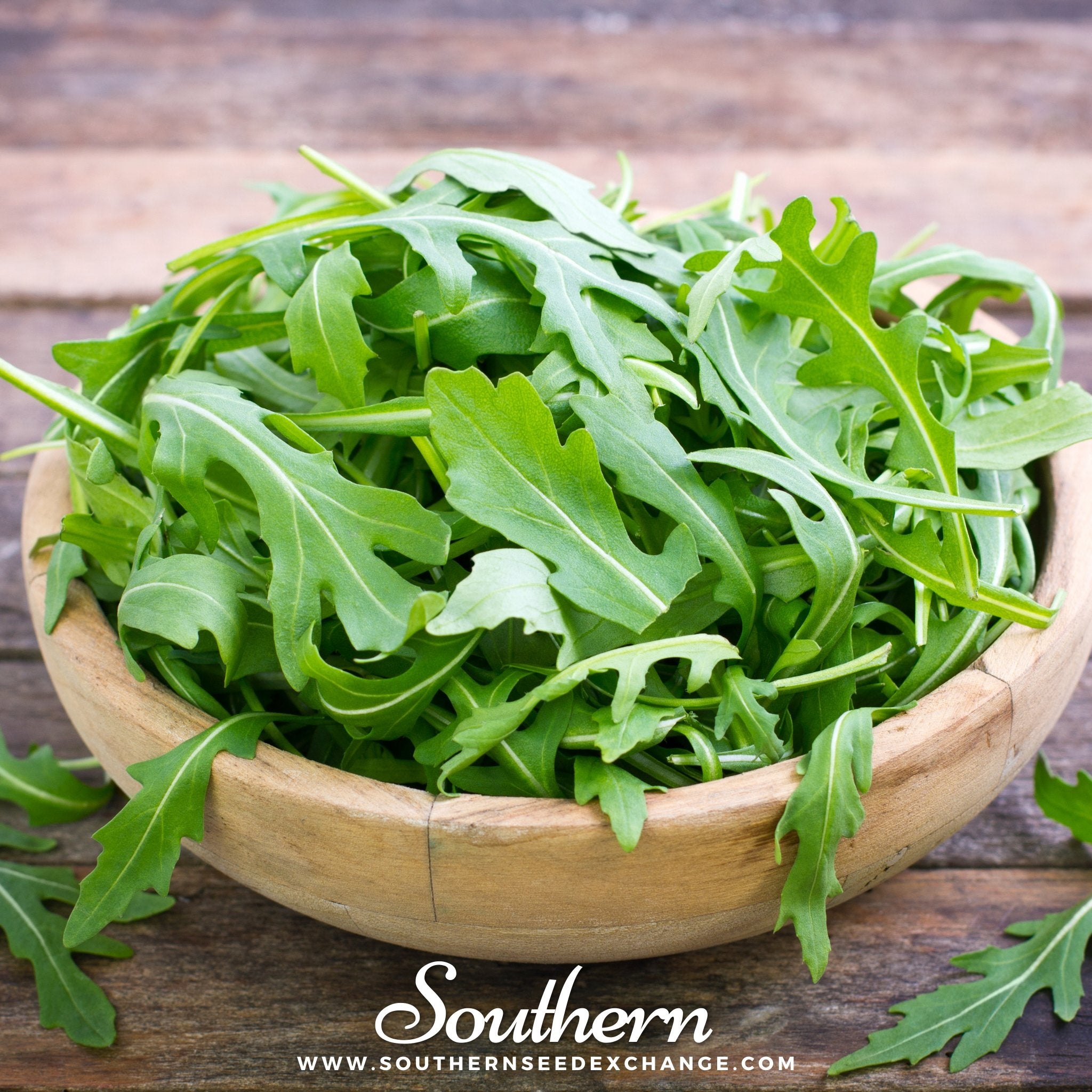 Arugula (Eruca sativa) - 200 Seeds - Southern Seed Exchange