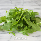 Wild arugula, Diplotaxis tenuifolia