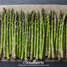 Southern Seed Exchange Asparagus, Mary Washington (Asparagus officinalis) - 50 Seeds