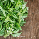 Southern Seed Exchange Basil, Lemon (Ocimum Basilicum Citriodorum) - 100 Seeds