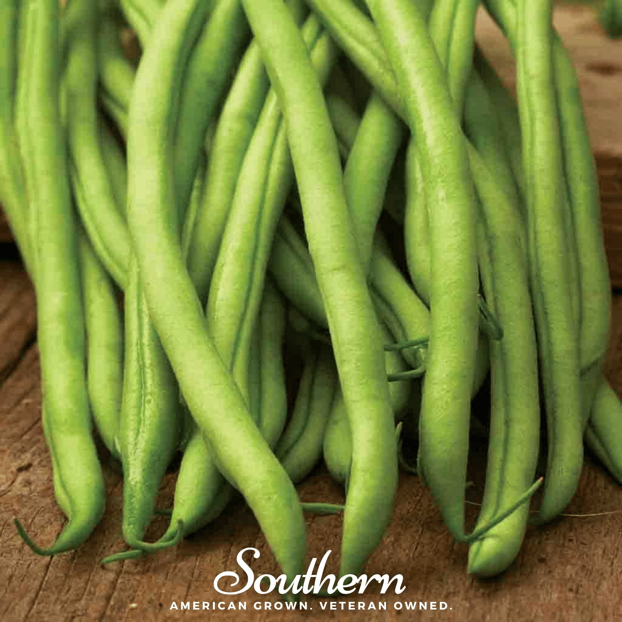 Bean, Blue Lake (Phaseolus vulgaris) - 50 Seeds - Southern Seed Exchange