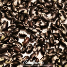 Bean, Calypso - Orca (Phaseolus vulgaris) - 25 Seeds - Southern Seed Exchange