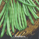 Bean, Kentucky Wonder (Phaseolus vulgaris) - 50 Seeds - Southern Seed Exchange