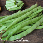 Bean, Kentucky Wonder (Phaseolus vulgaris) - 50 Seeds - Southern Seed Exchange