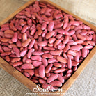 Bean, Kidney, Light Red (Phaseolus vulgaris) - 20 Seeds - Southern Seed Exchange