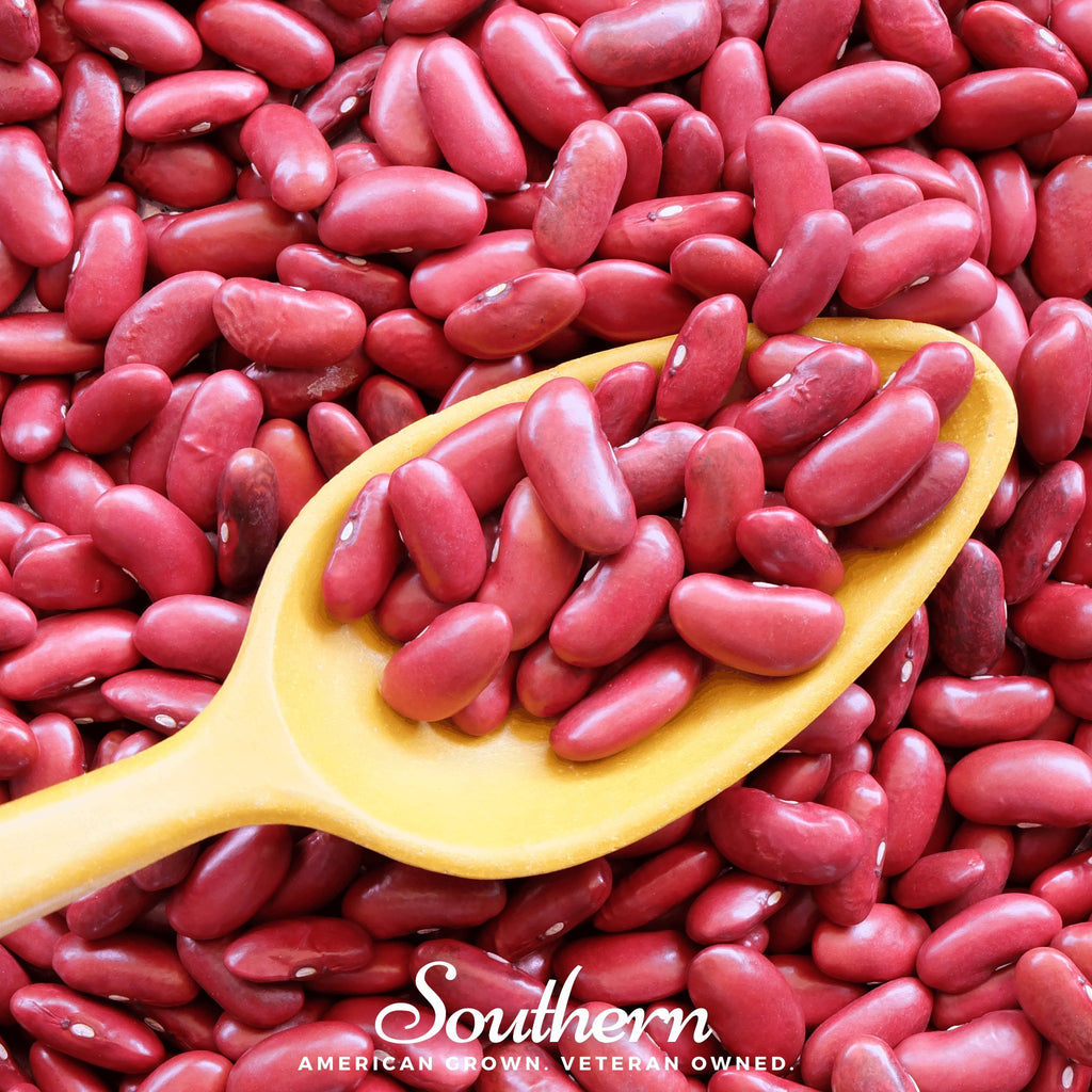 Bean, Kidney, Light Red (Phaseolus vulgaris) - 20 Seeds - Southern Seed Exchange