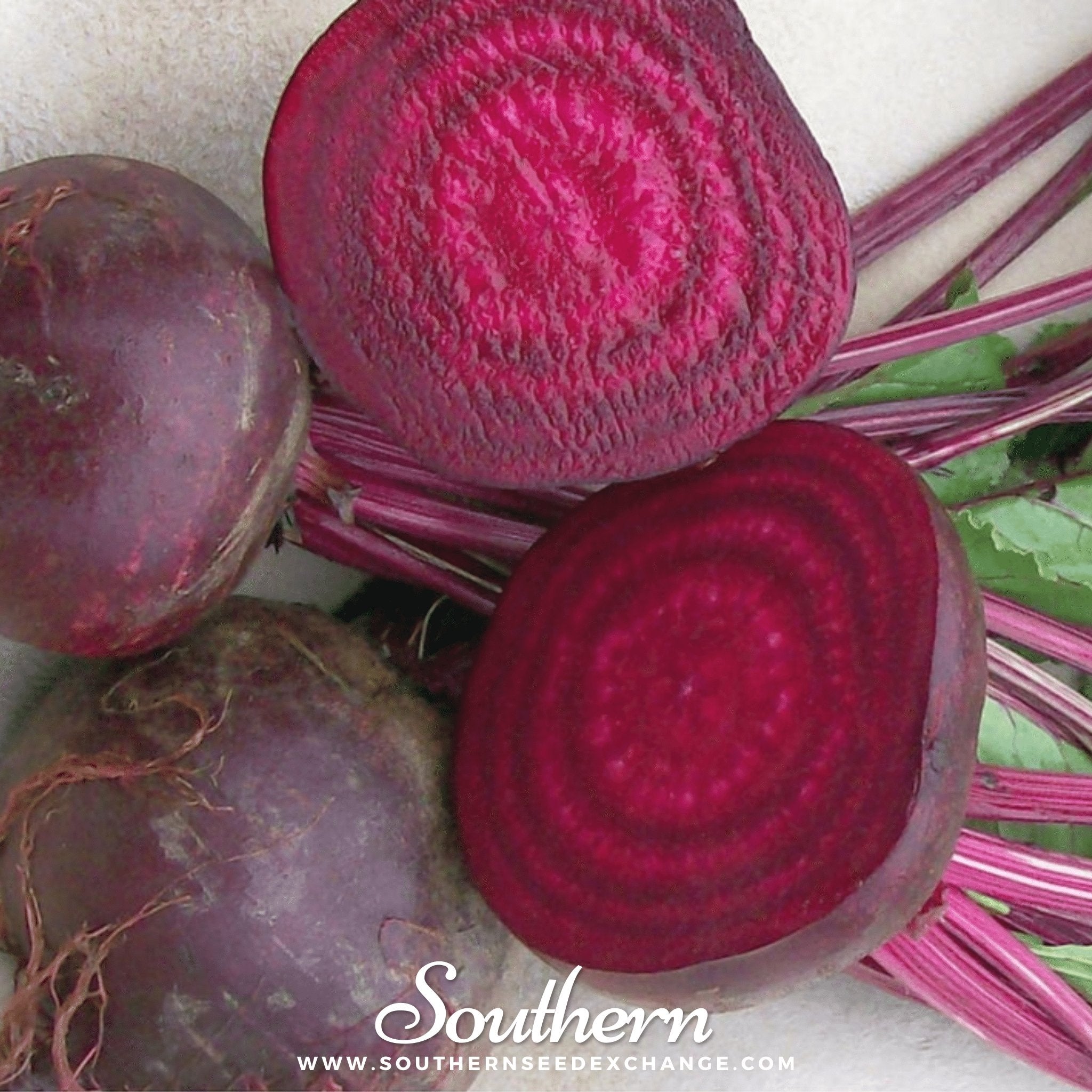 Southern Seed Exchange Beet, Crosby's Egyptian (Beta vulgaris) - 100 Seeds