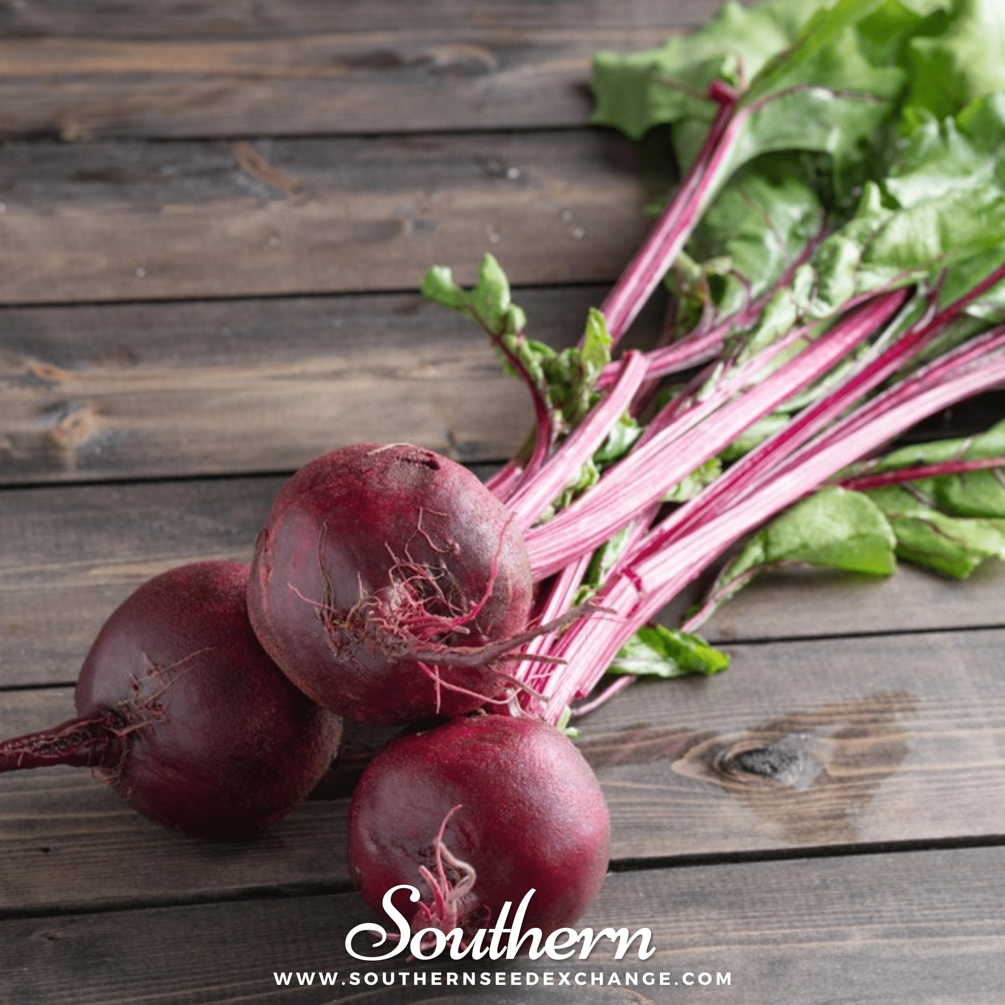 Southern Seed Exchange Beet, Crosby's Egyptian (Beta vulgaris) - 100 Seeds