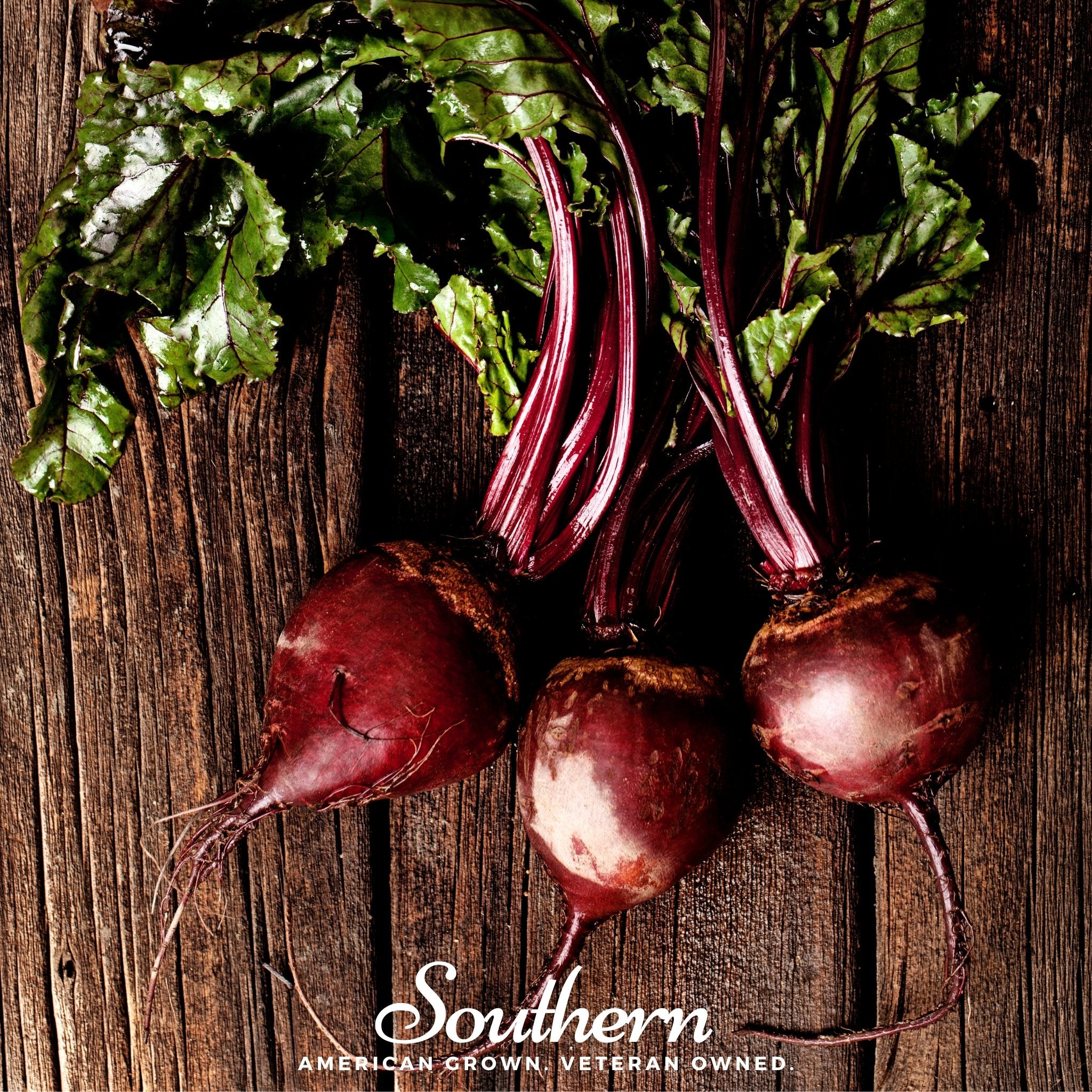 Beet, Detroit Red (Beta vulgaris) - 200 Seeds - Southern Seed Exchange