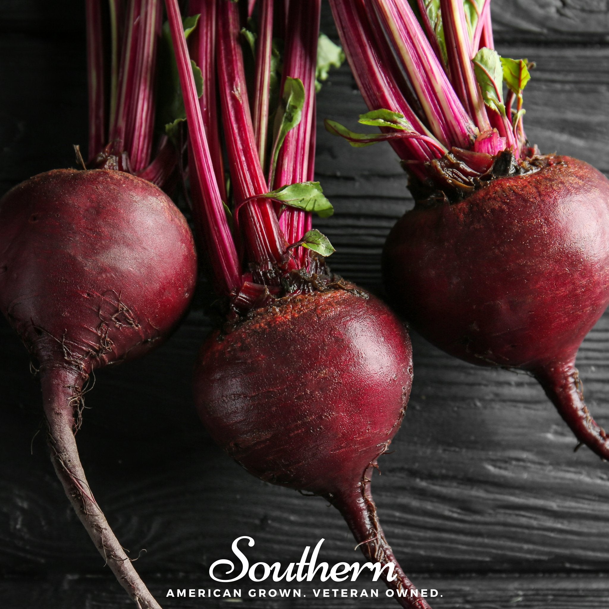 Beet, Detroit Red (Beta vulgaris) - 200 Seeds - Southern Seed Exchange