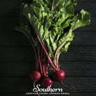 Beet, Detroit Red (Beta vulgaris) - 200 Seeds - Southern Seed Exchange