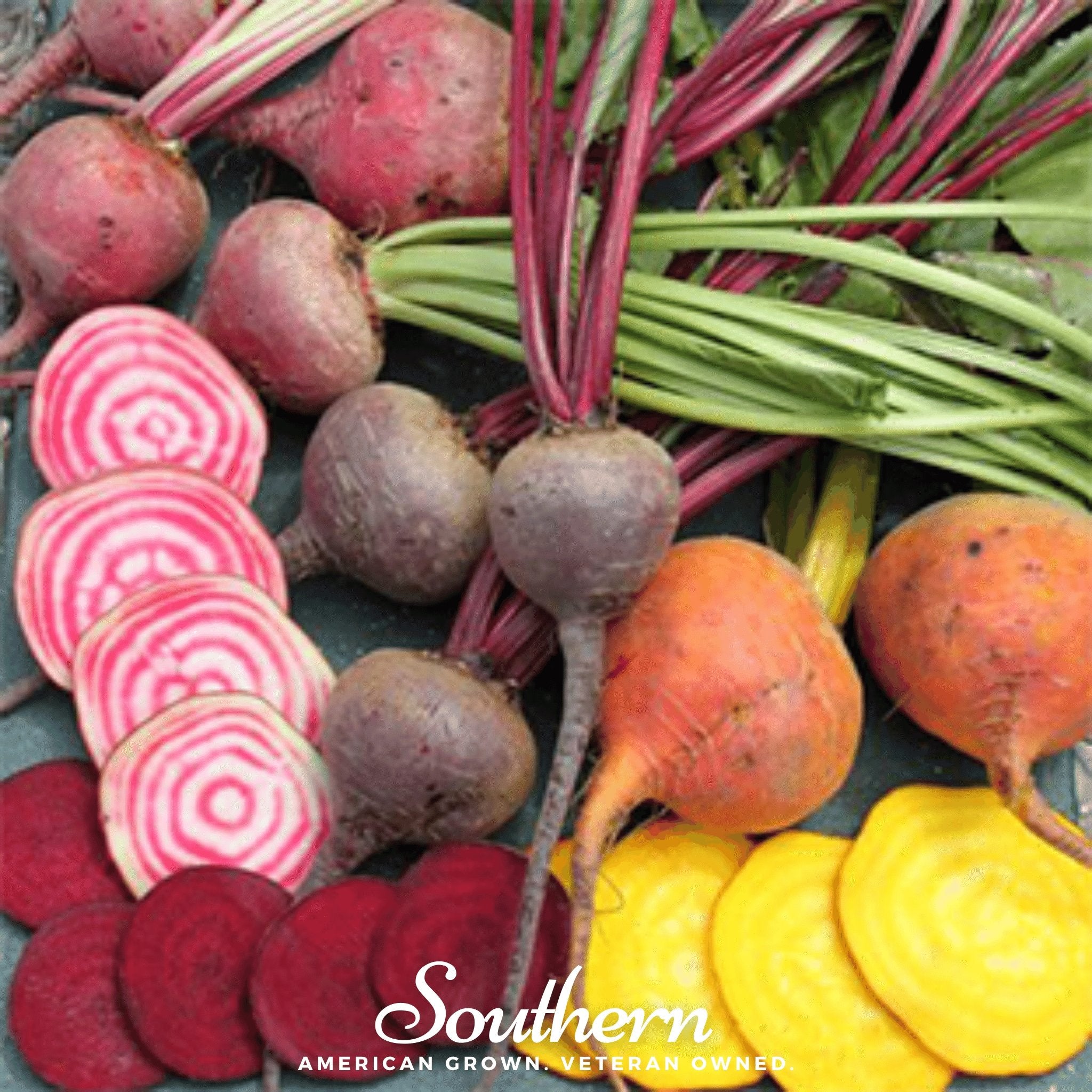 Beet, Gourmet Blend (Beta vulgaris) - 50 Seeds - Southern Seed Exchange