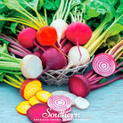 Beet, Gourmet Blend (Beta vulgaris) - 50 Seeds - Southern Seed Exchange