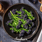 Broccoli, Purple Sprouting (Brasssica oleracea) - 100 Seeds - Southern Seed Exchange