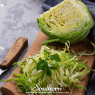 Southern Seed Exchange Cabbage, Brunswick (Brassica oleracea) - 200 Seeds