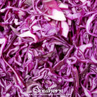 Southern Seed Exchange Cabbage, Mammoth Red Rock (Brassica oleracea var. capitata) - 100 Seeds