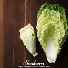 Southern Seed Exchange Cabbage, Napa Michihili Heading (Brassica oleracea) - 100 Seeds