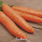 Southern Seed Exchange Carrot, Little Finger (Daucus carota) - 200 Seeds