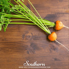 Southern Seed Exchange Carrot, Parisian (Daucus carota var stativus) - 200 Seeds