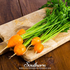 Southern Seed Exchange Carrot, Parisian (Daucus carota var stativus) - 200 Seeds