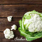 Southern Seed Exchange Cauliflower, Snowball Y Improved (Brassica Oleracea var. Botrytis) - 200 Seeds