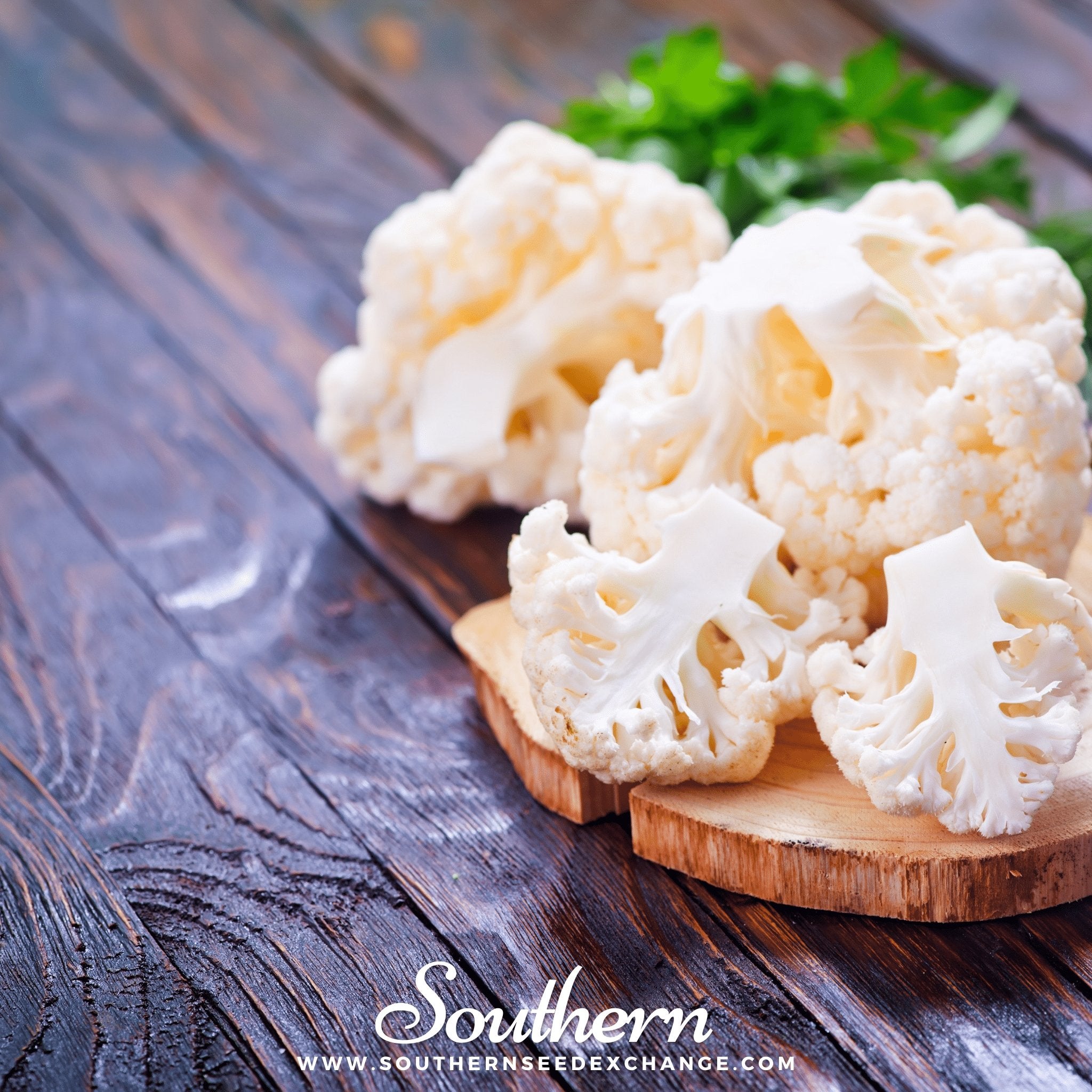 Southern Seed Exchange Cauliflower, Snowball Y Improved (Brassica Oleracea var. Botrytis) - 200 Seeds